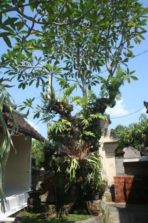 Nugraha Guesthouse 1 Ubud Buitenkant foto